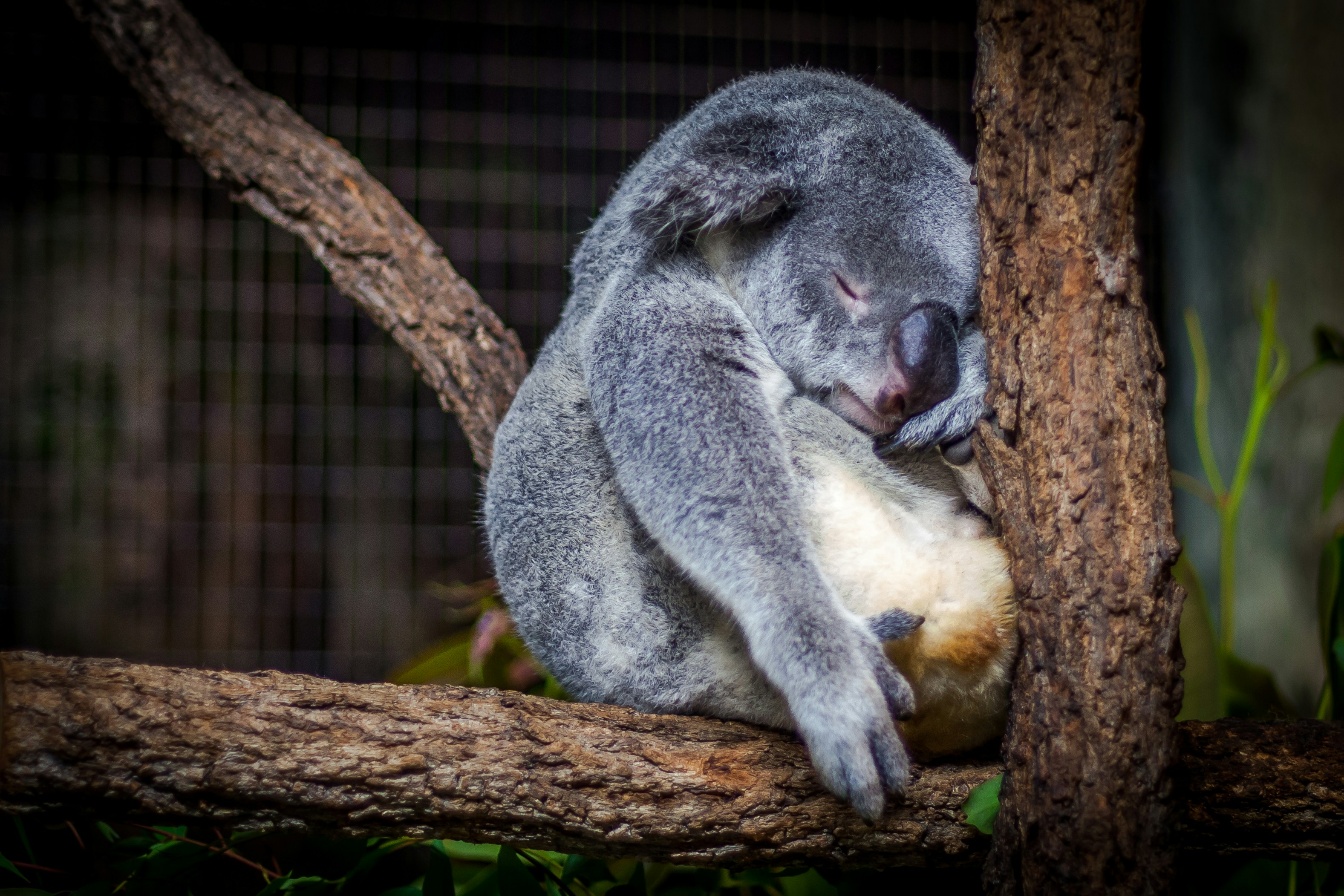 Exercise and Sleep: Finding the Right Balance